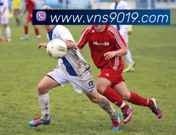 澳门威尼斯人网页APP 封面图