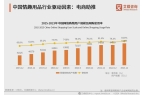业：情趣品牌应积极利用电商数据改进产品冰